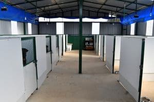Individual indoor kennels feature excellent cross-ventilation and fans for comfort